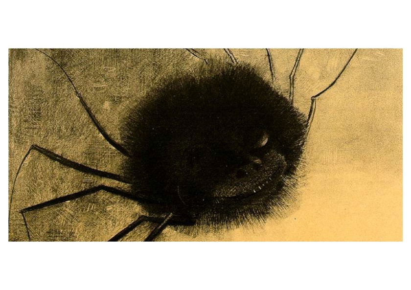 Odilon Redon - The Smiling Spider 1881